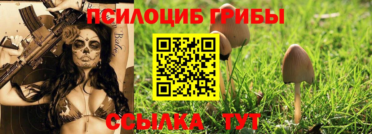 Галлюциногенные грибы ЛСД  Псилоцибиновые грибы мицелий  купить  сайты  Новокубанск  Вход с VPN 