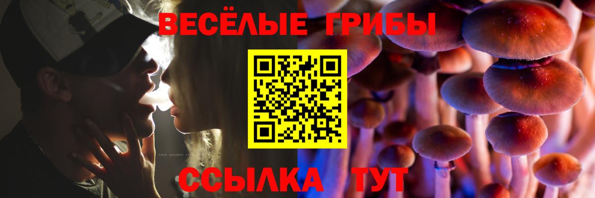 Меф МЯУ МЯУ кристаллы  ГАШИШ  Новокубанск  Бошки Шишки  ГАШИШ  Вход с VPN  КОКАИН 
